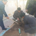 کاشت درخت  به مناسبت روز درخت کاری در بیرستان شکرایی